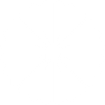 white flower